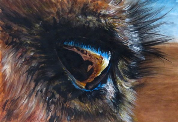 Camel eye Camel's eye watercolour painting