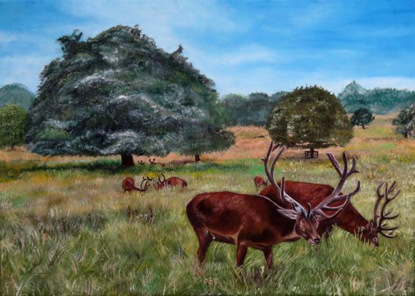 Wollaton Park Wollaton Park oil painting