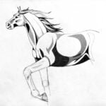 Horse