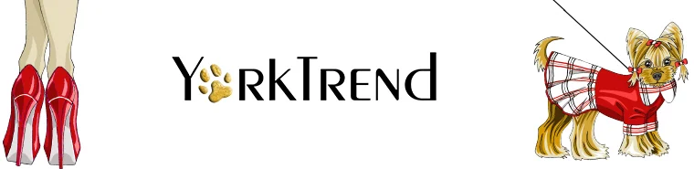 Yorktrend design